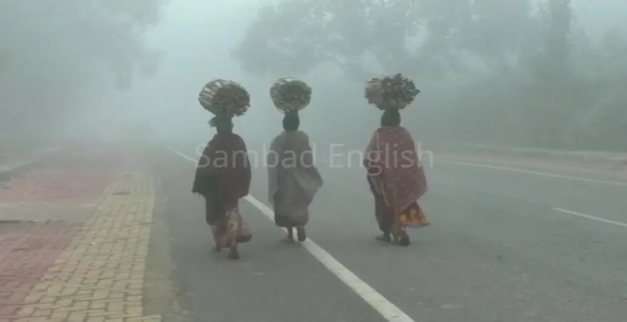  IMD predicts cold wave conditions in 3 Odisha districts till Nov 17
