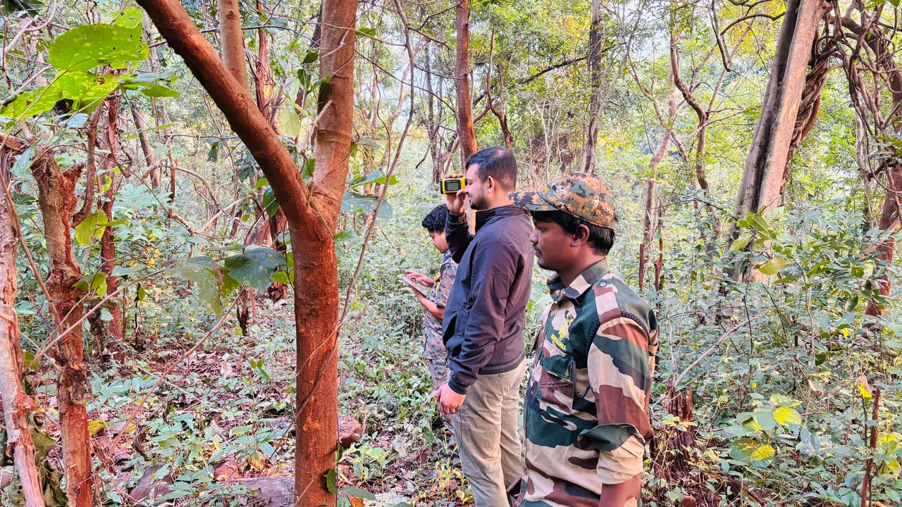  Forest personnel conducting tiger estimation at Similipal Tiger Reserve 