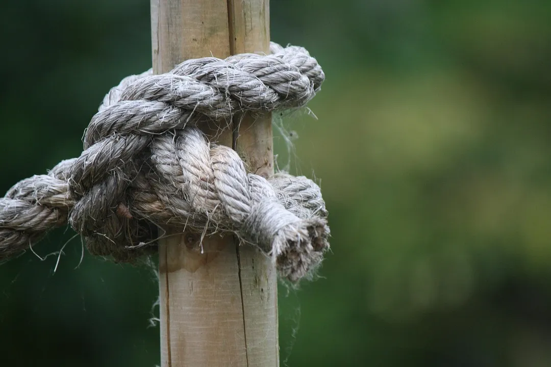  Representative Photo 