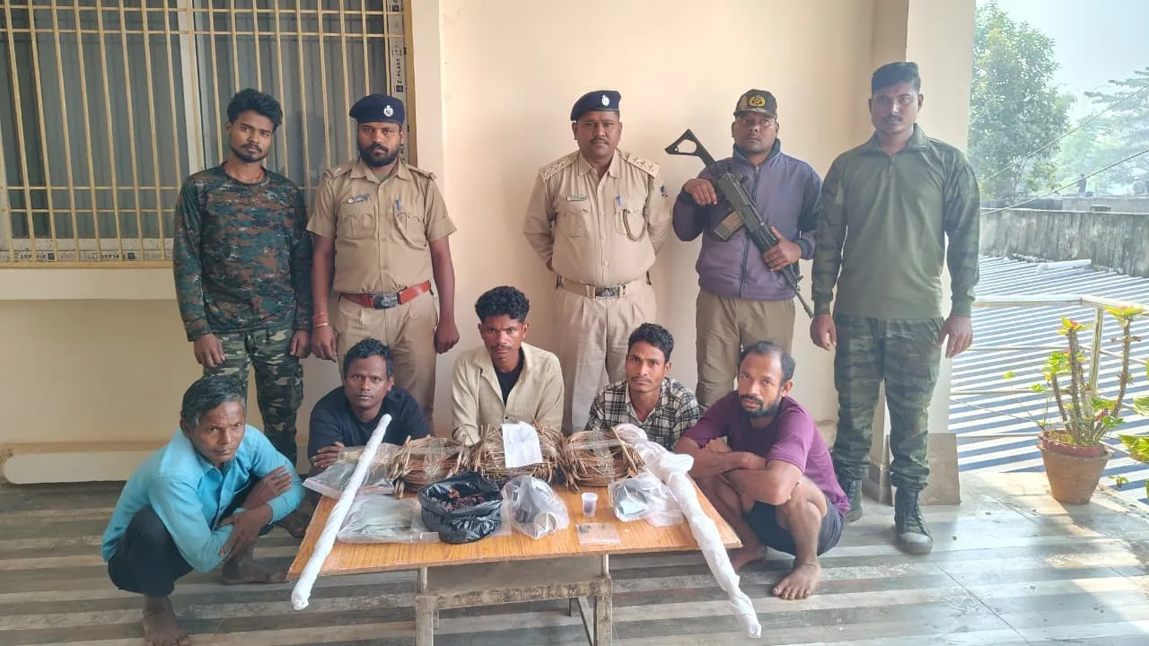  Poachers held with weapons and wildlife products in Similipal, Odisha. Photograph: (Sambad) 