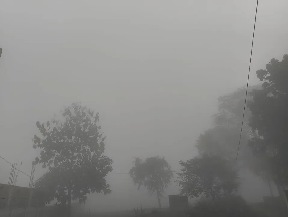  Odisha shivers under intense cold wave, IMD issues dense fog alert