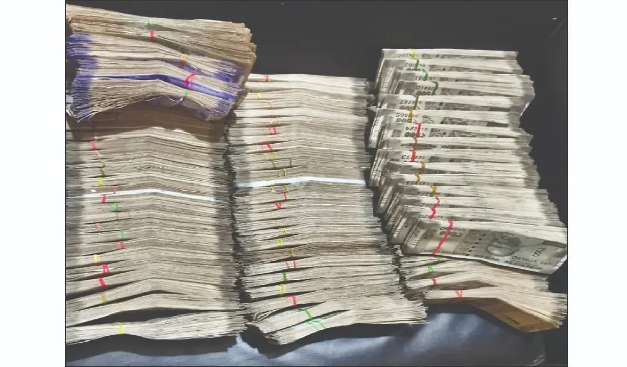  Operation Goraksha in Odisha: Cattle Smugglers under Scanner as Rs 1.52 Crore Cash, 1 Kg Gold Seized During Raids