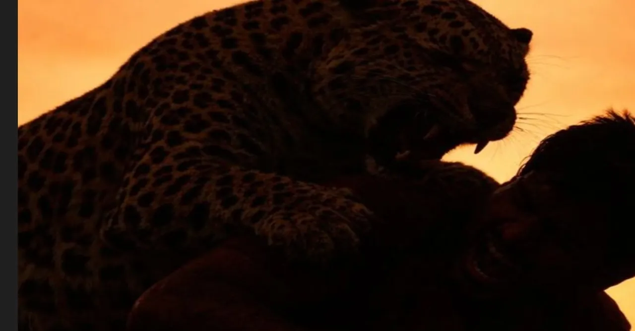  Man-Animal conflict: Youth kills leopard after it strays into farmhouse