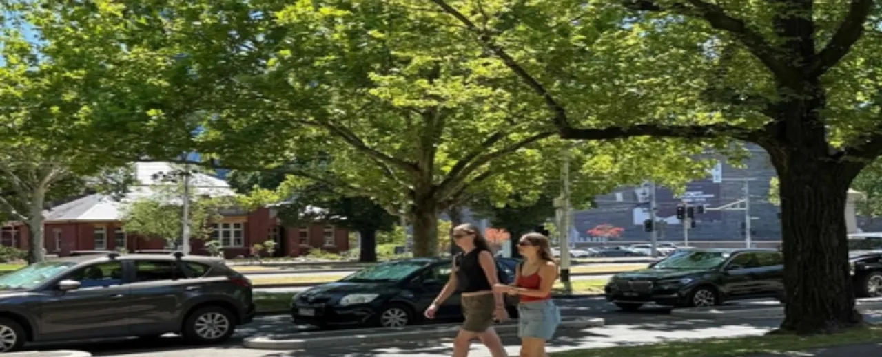  January 2026 among five warmest ever recorded: EU Climate Monitor