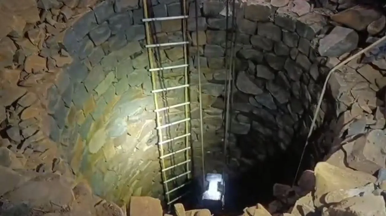  Elephant calf dies after falling into well in Odisha's Keonjhar