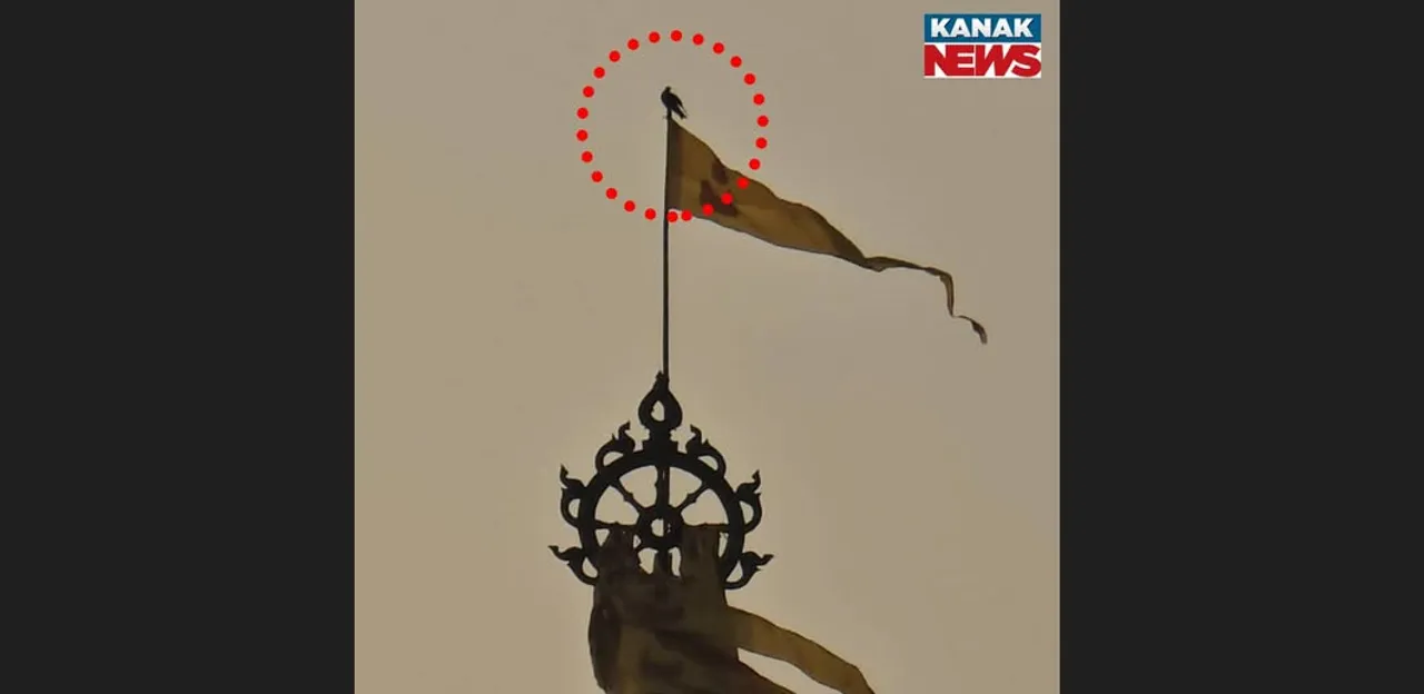  The eagle atop the flag of Jagannath temple.  