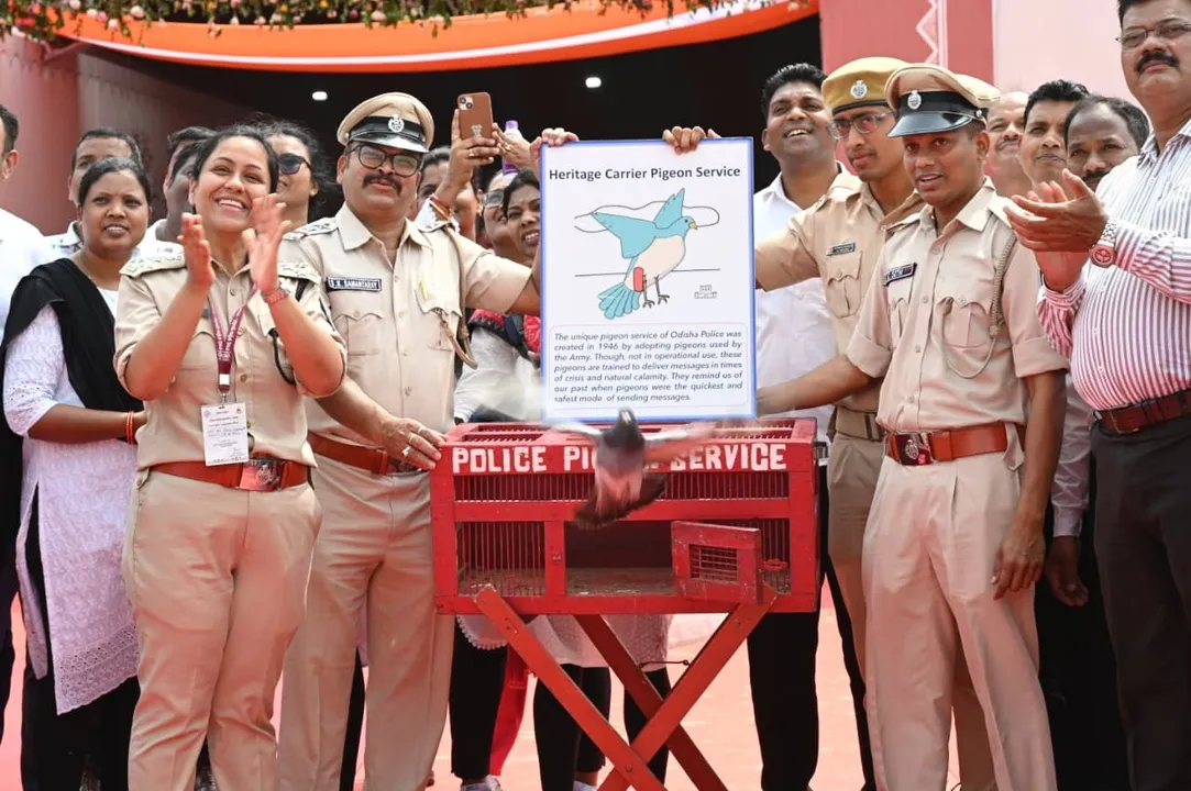  Odisha Police Pigeon Service showcased at the Nyaya Sanhita Exhibition in Bhubaneswar 