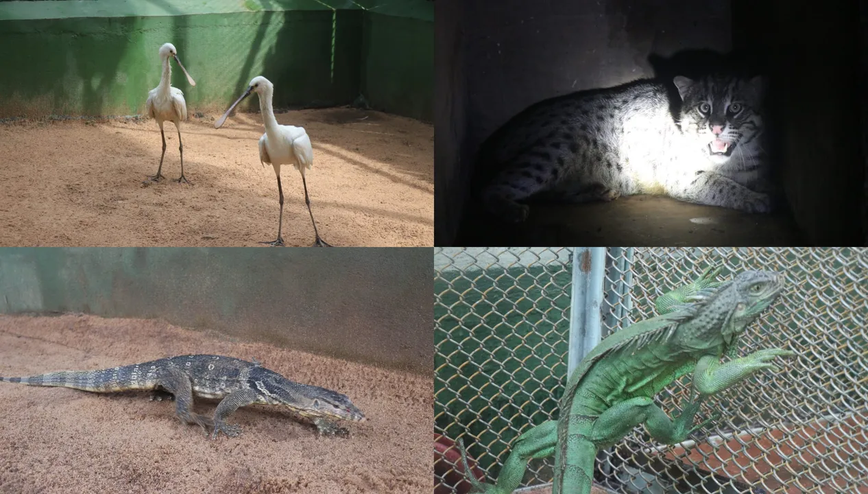  Odisha's Nandankanan zoo gets 20 new species from Kolkata