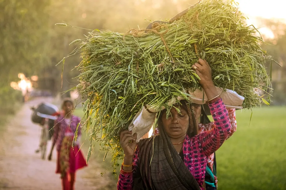  Odisha Govt to form SLSLMC to monitor Subhadra scheme