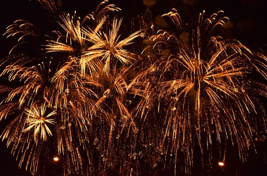  Delhi govt bans firecrackers till Jan 1 to combat winter air pollution
