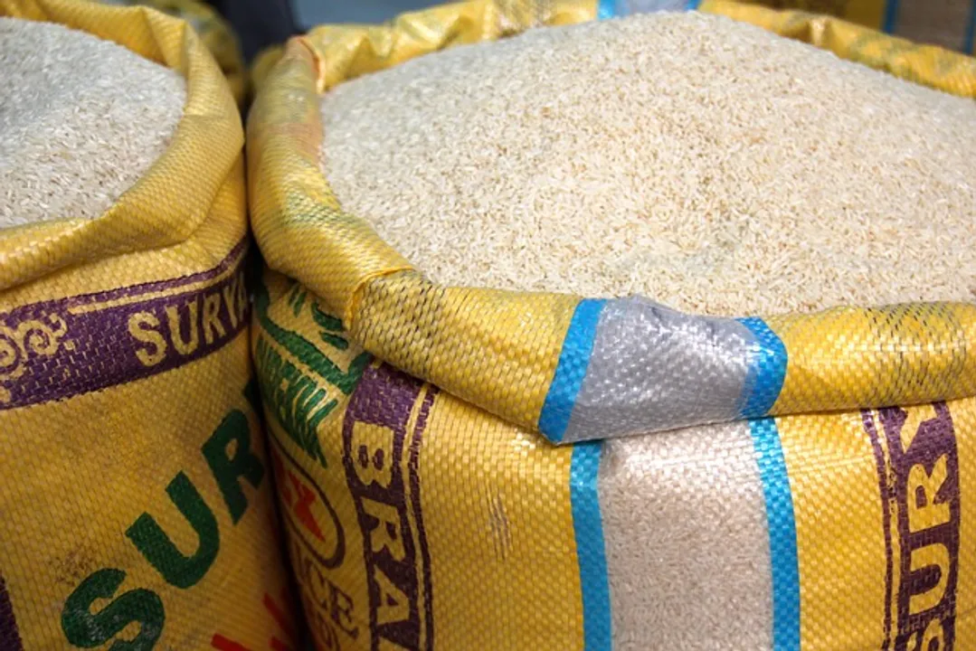  Centre removes floor price on basmati rice, farmers to benefit