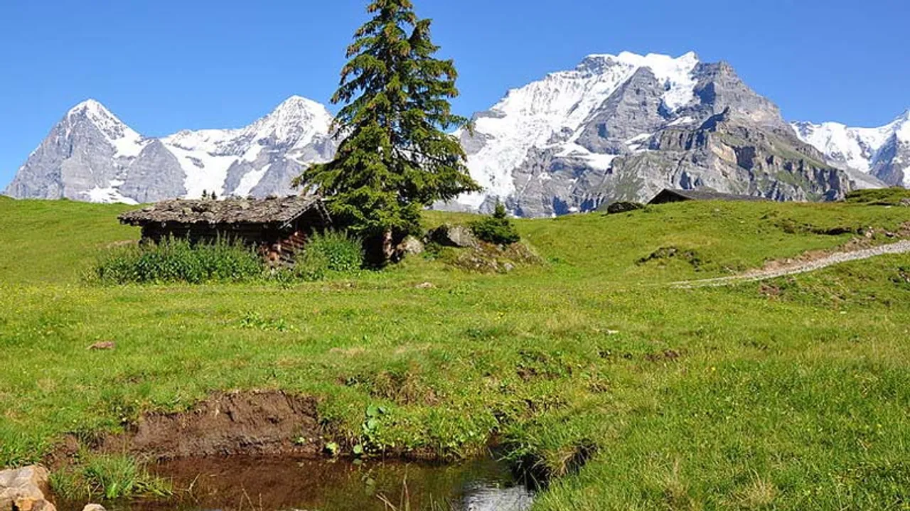  Nature’s capital and its rational utilization