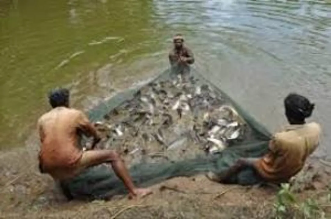  Odisha proposes a fisheries university
