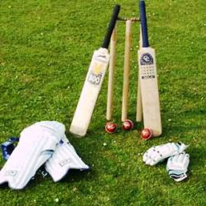  Raina, Pandya back for ODIs vs New Zealand