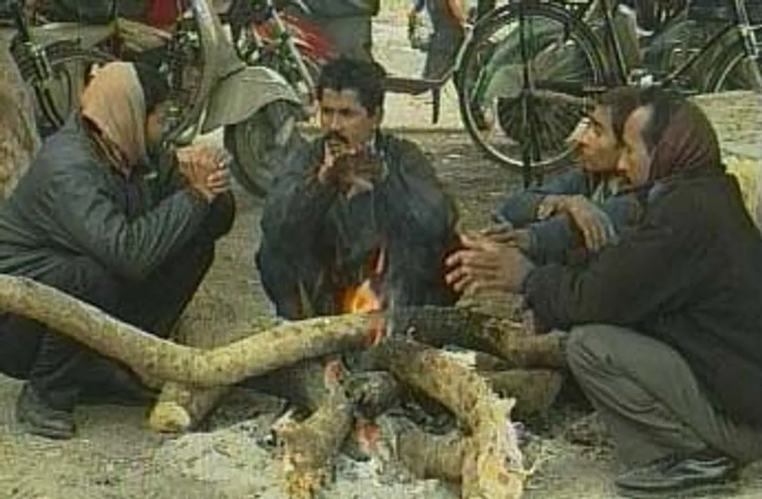  Cold wave continues across Odisha; 6 places record below 10 degree C