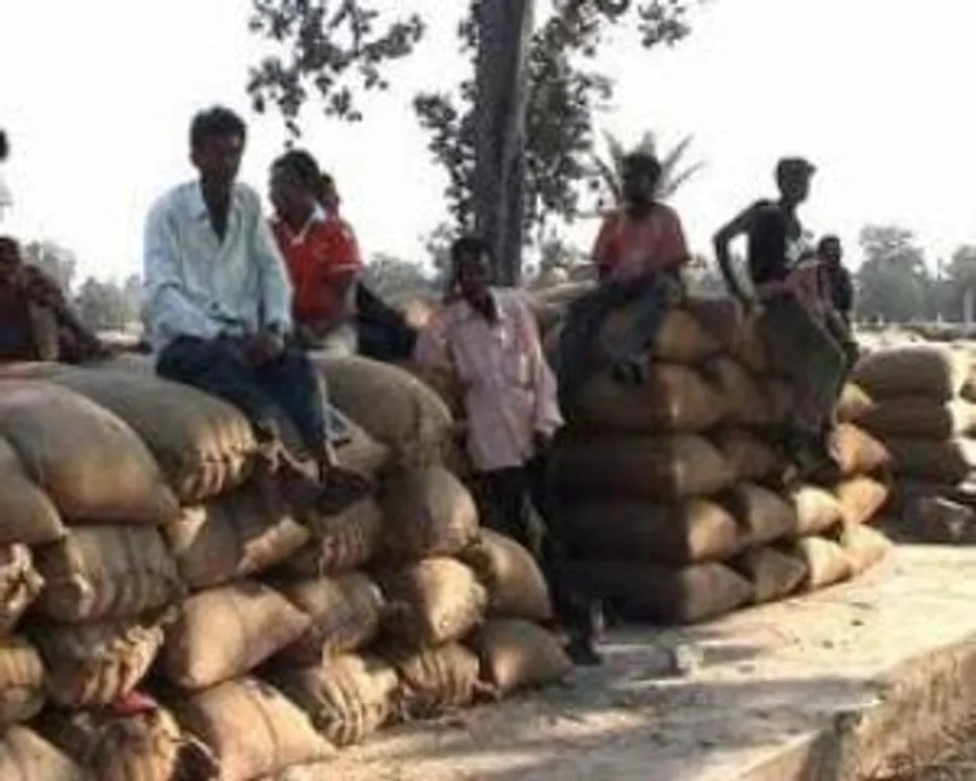  7.72 lakh farmers so far registered to sell paddy this Kharif season: Odisha Minister