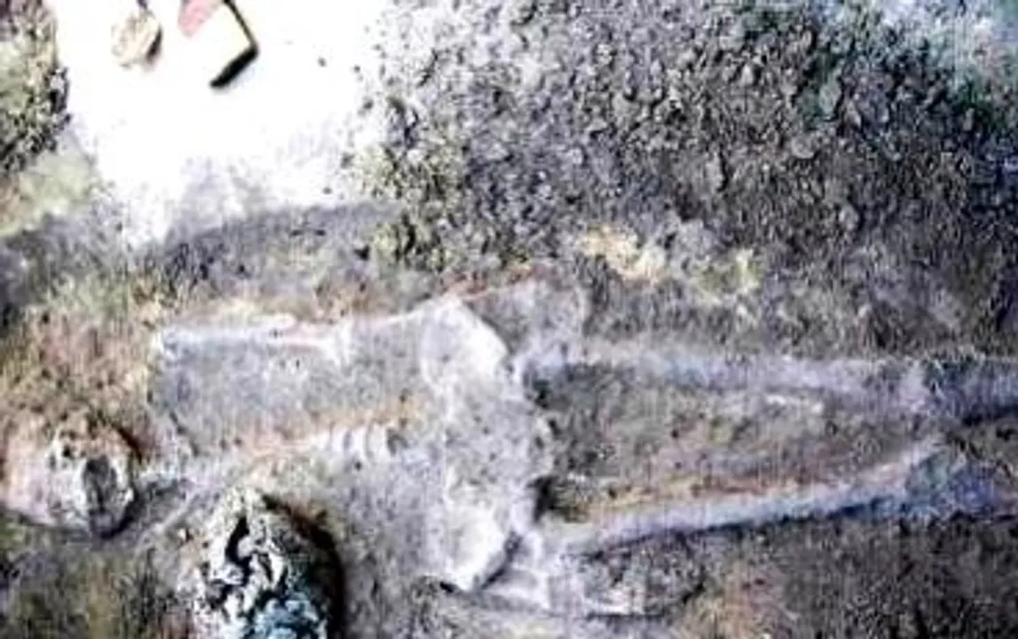  Prehistoric skeleton confirms first American origins