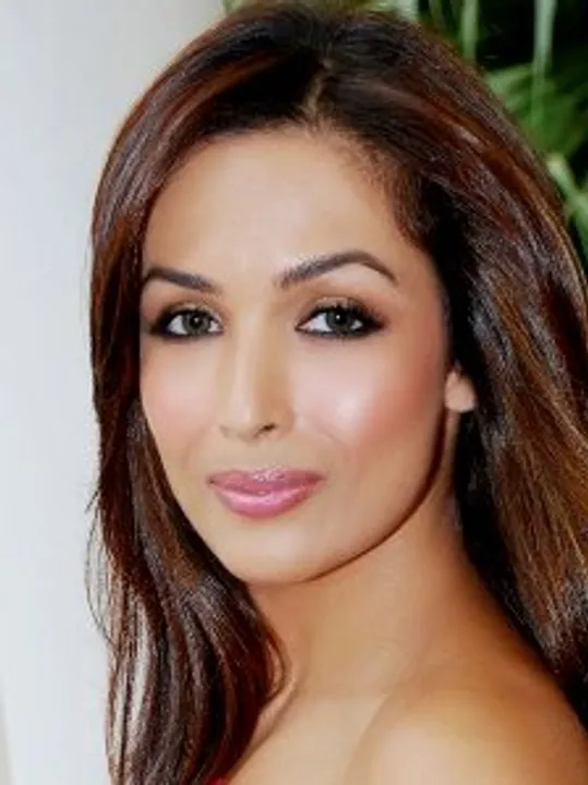  Why so serious: Malaika on Arjun's Insta post