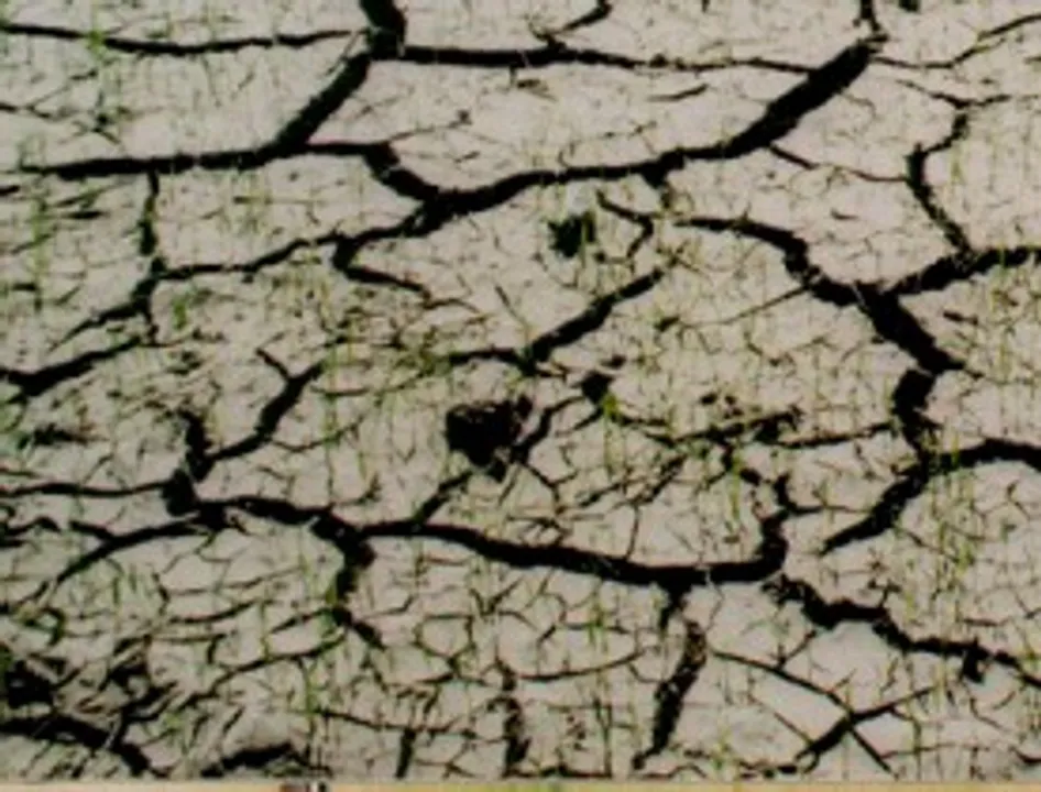  The connection between soil, water scarcity and global warming