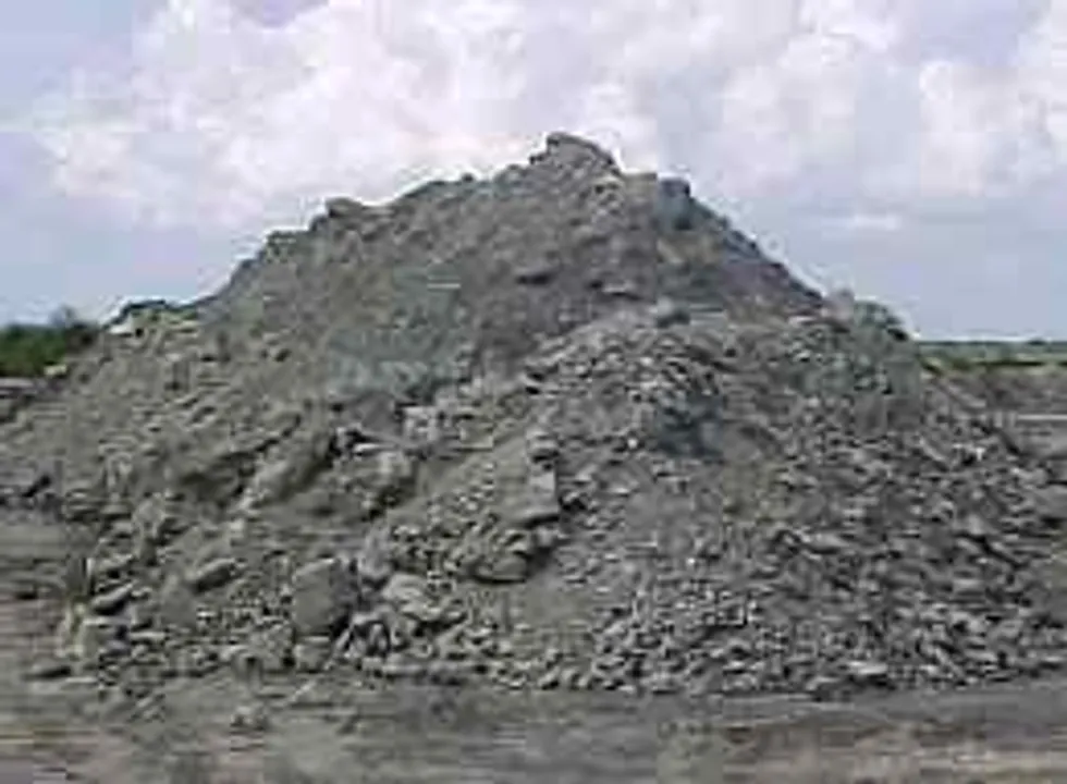  Fly ash park to come up in Odisha soon