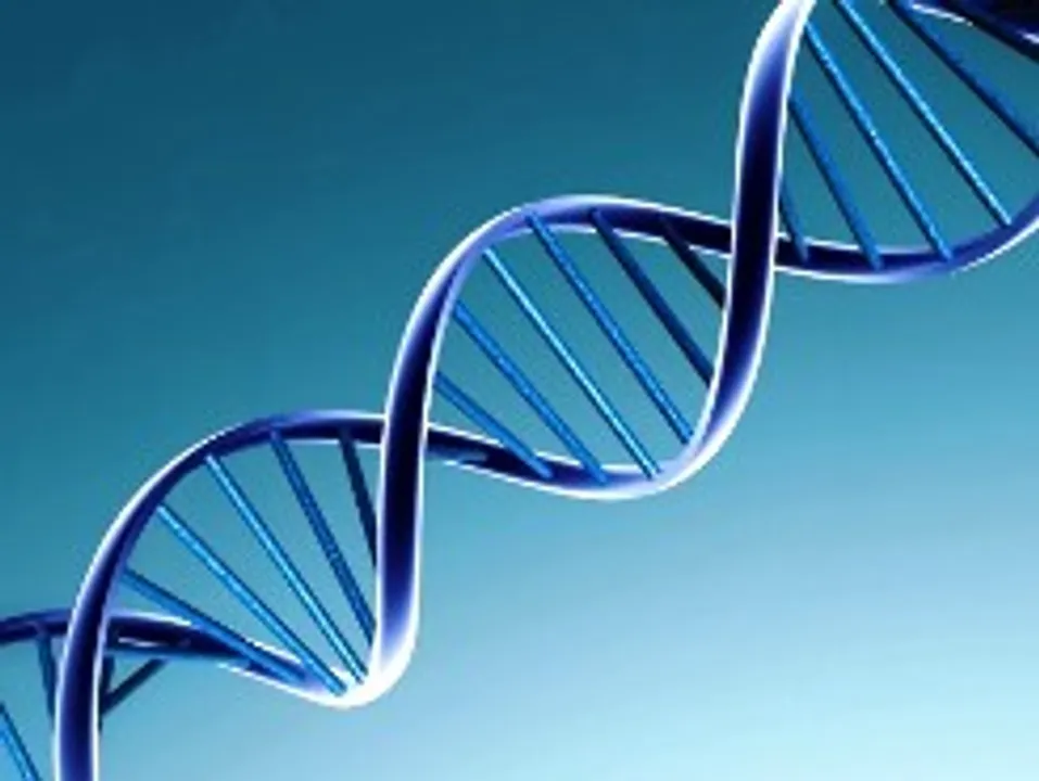  US scientists develop toolkit to allow remote-controlled genome editing