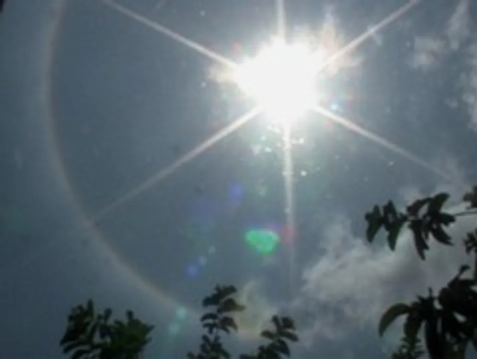  2024 likely to be the hottest year on record