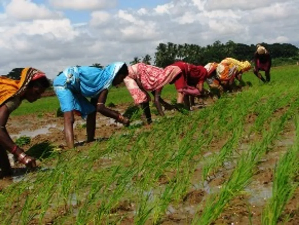  Centre’s flagship initiative ‘Viksit Krishi Sanklap Abhiyan’ to be launched from Puri on May 29