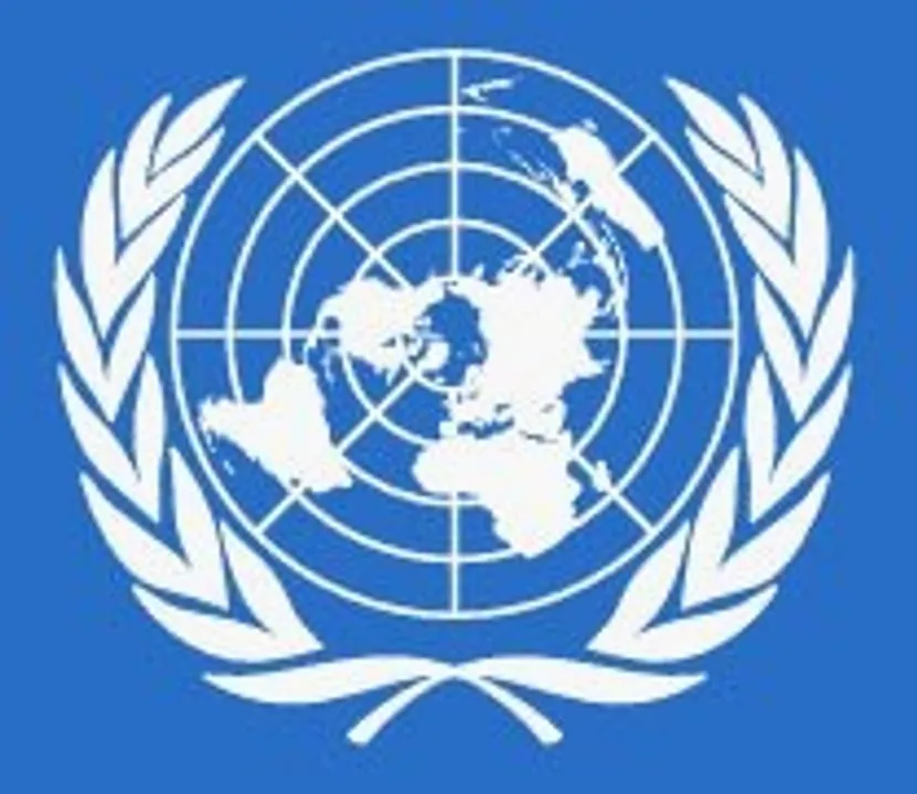  UN Secretary General welcomes India-Pakistan ceasefire