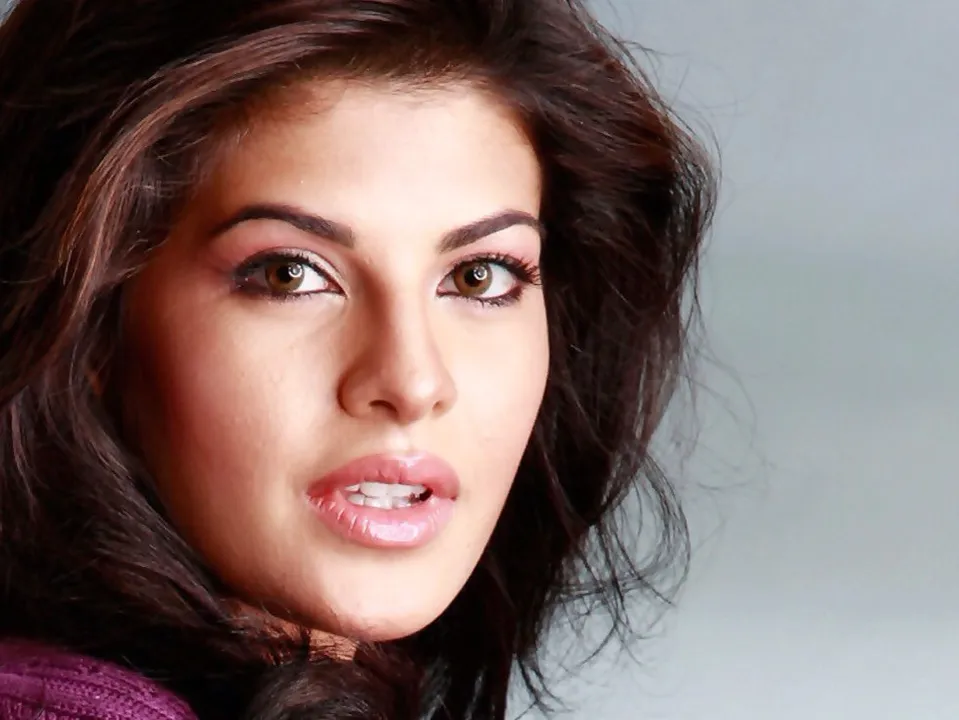  Jacqueline Fernandez ( source-unbconnect.com) 