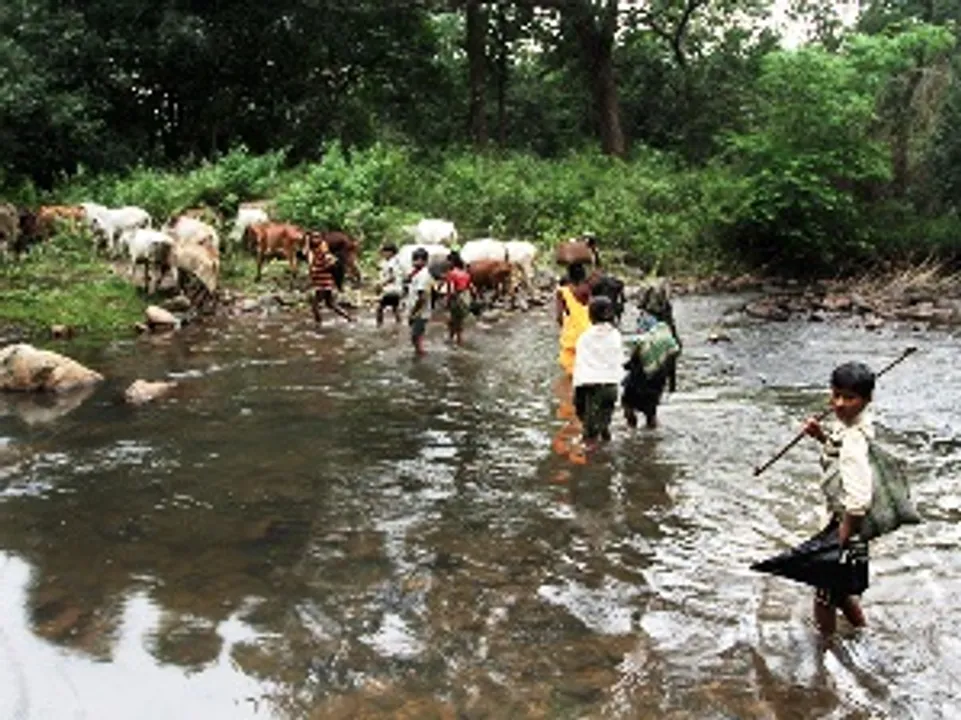  GONDI LANGUAGE: A BRIDGE TO MAOIST HEARTLAND?