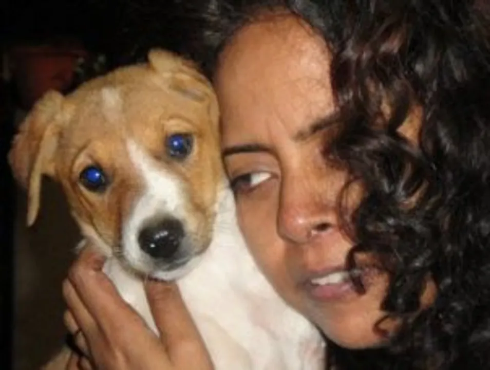  BE COMPASSIONATE TO ANIMALS THIS DIWALI