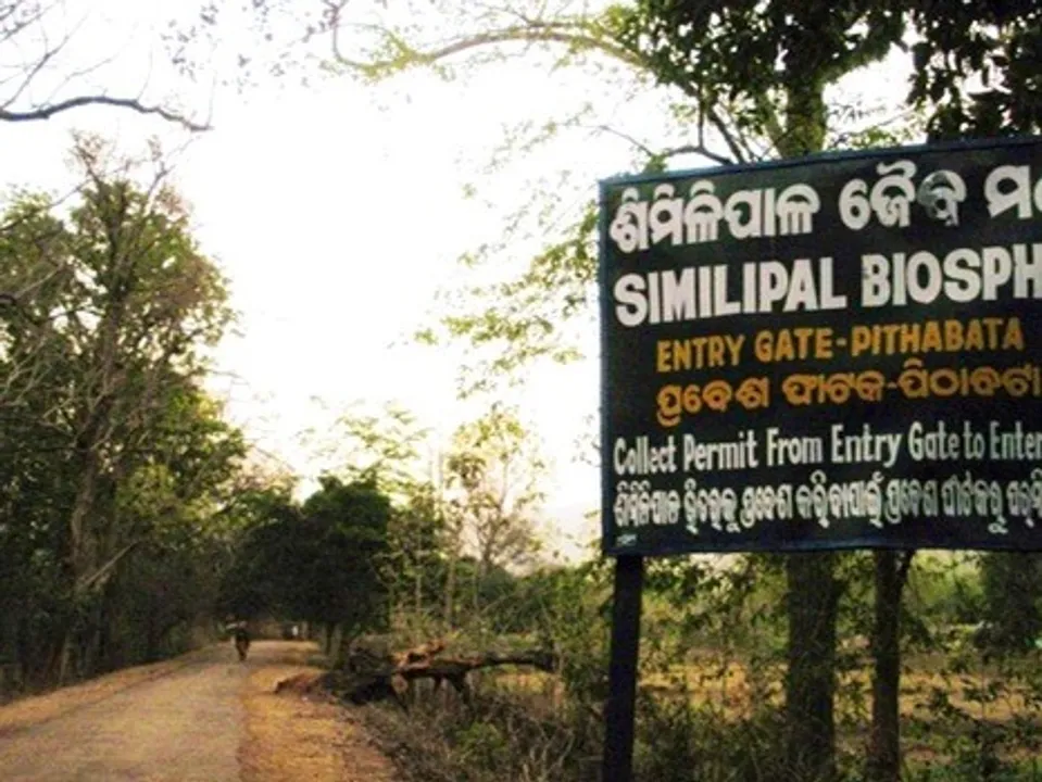  Odisha’s Similipal Tiger Reserve to reopen for tourists from Nov 1