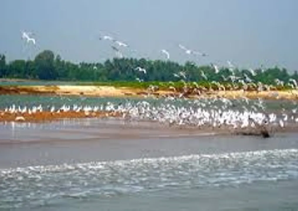 Photo Courtesy: odishatourism.org 