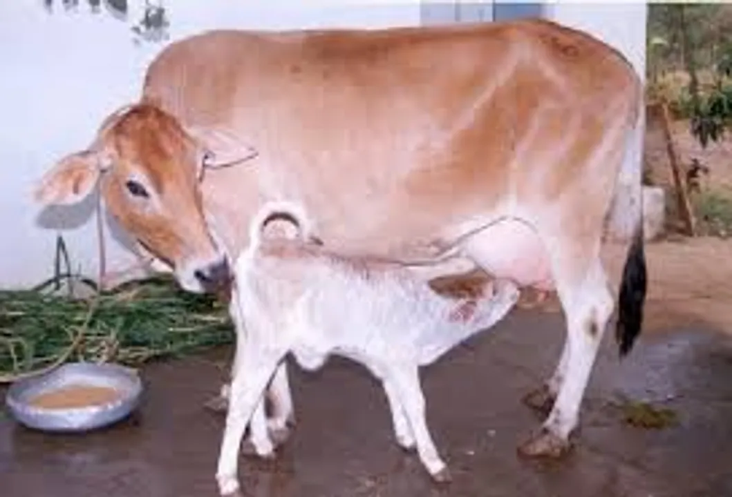  Photo Courtesy: pravakta.com 