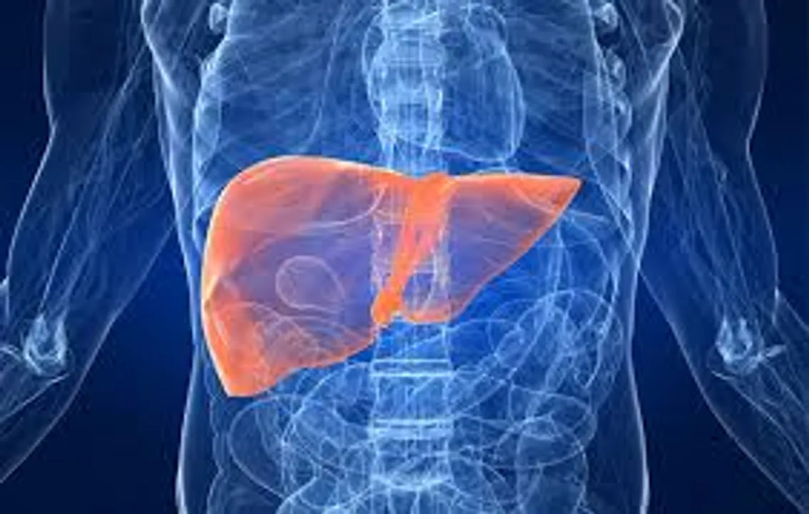  Poor oral health escalates liver cancer risk