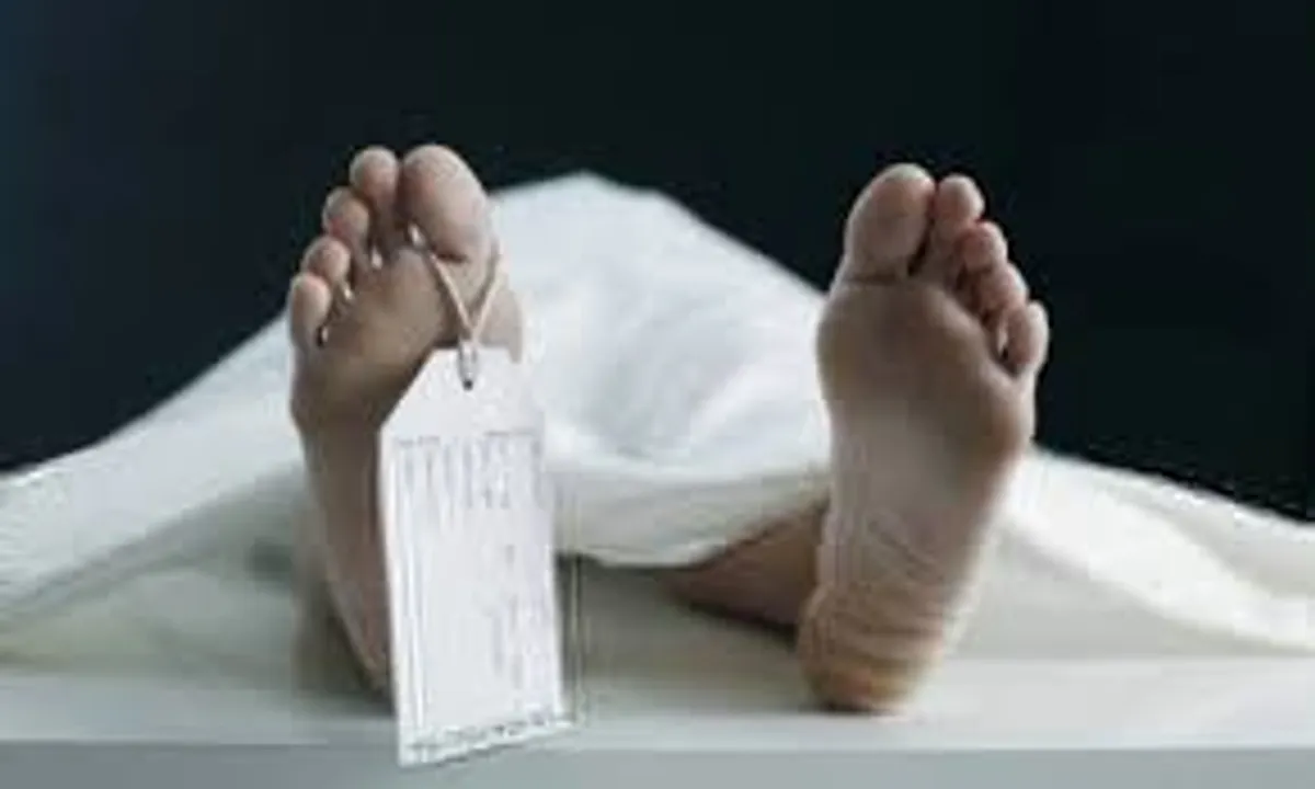  Man dies after falling into 40-ft deep ditch in Odisha