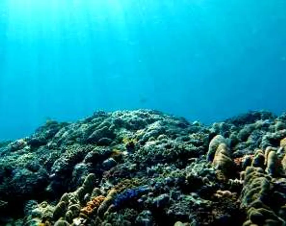  France, Brazil launch initiative to scale up ocean-focused climate action