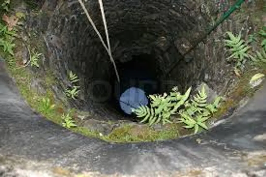  Representative Pic 