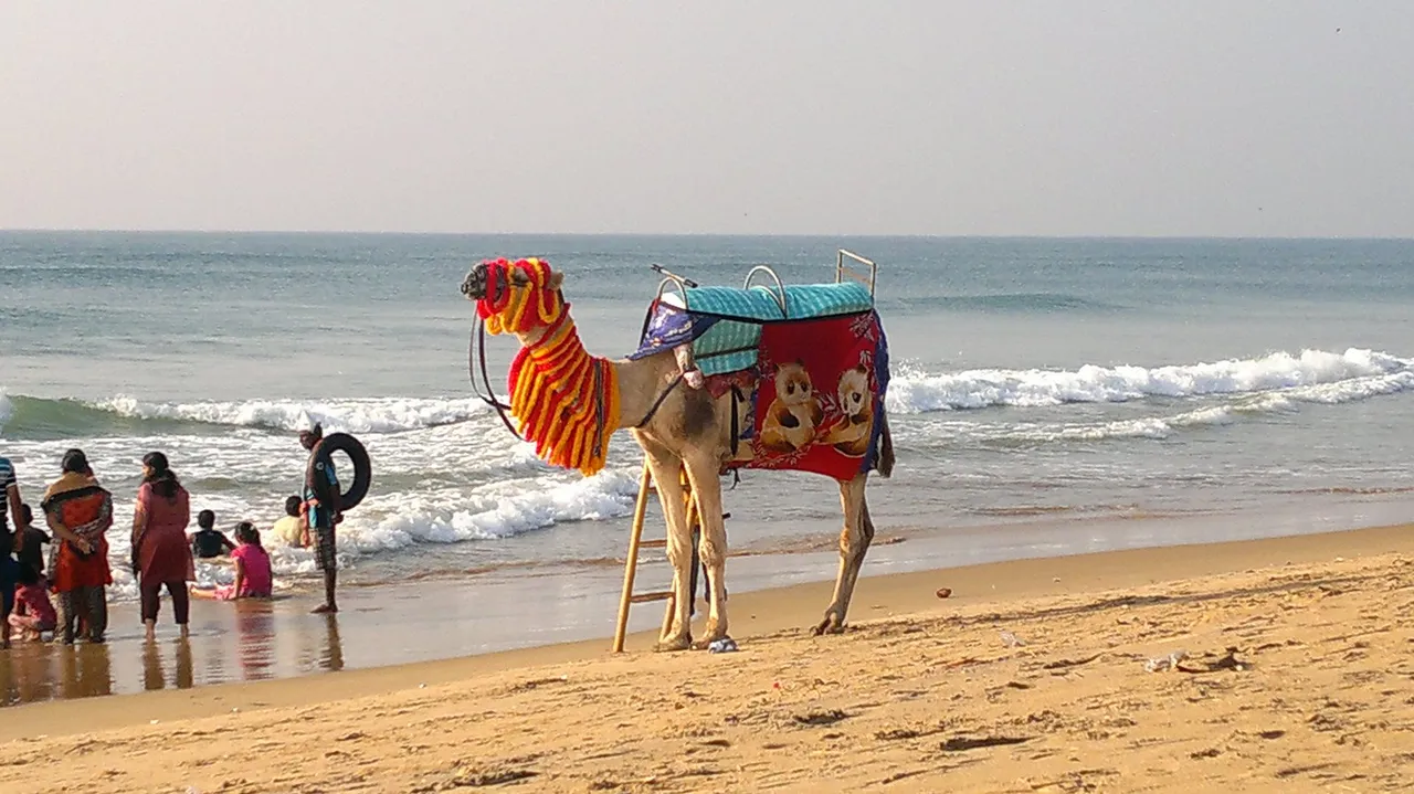  Odisha’s Puri beach in race for ‘Blue Flag’ certification