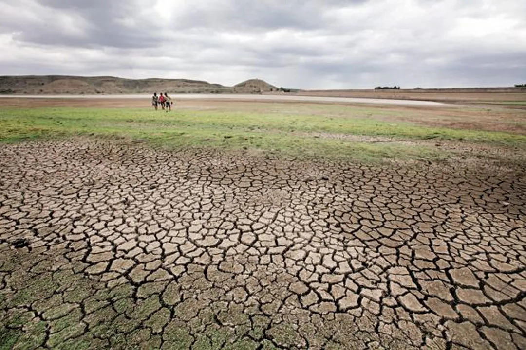  Pic Courtesy: www.livemint.com 