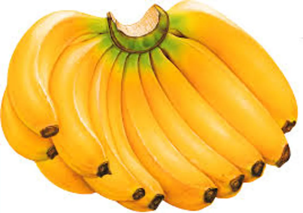  Why starch in bananas, potatoes may be good for health