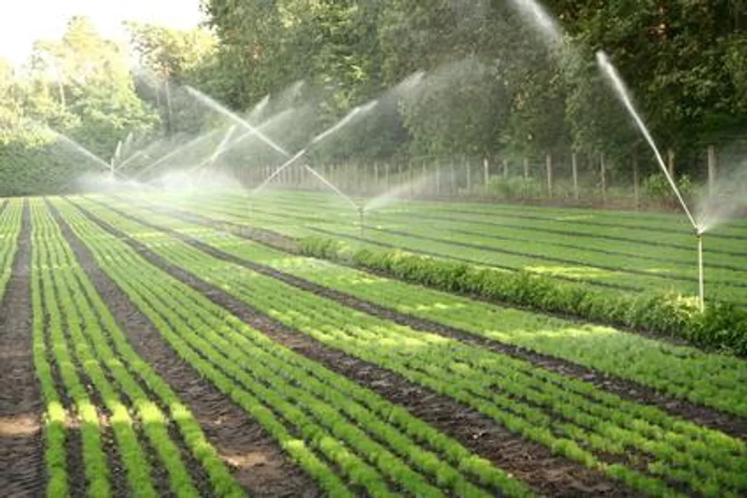  Pic Courtesy: www.agrobiodiversity.science 