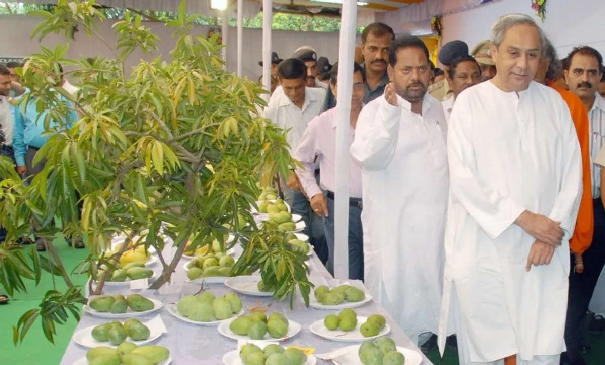  Must watch: Naveen Patnaik buying mangoes