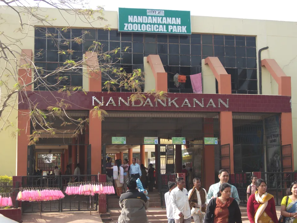  Leopard dies in Odisha's Nandankanan zoo; few left