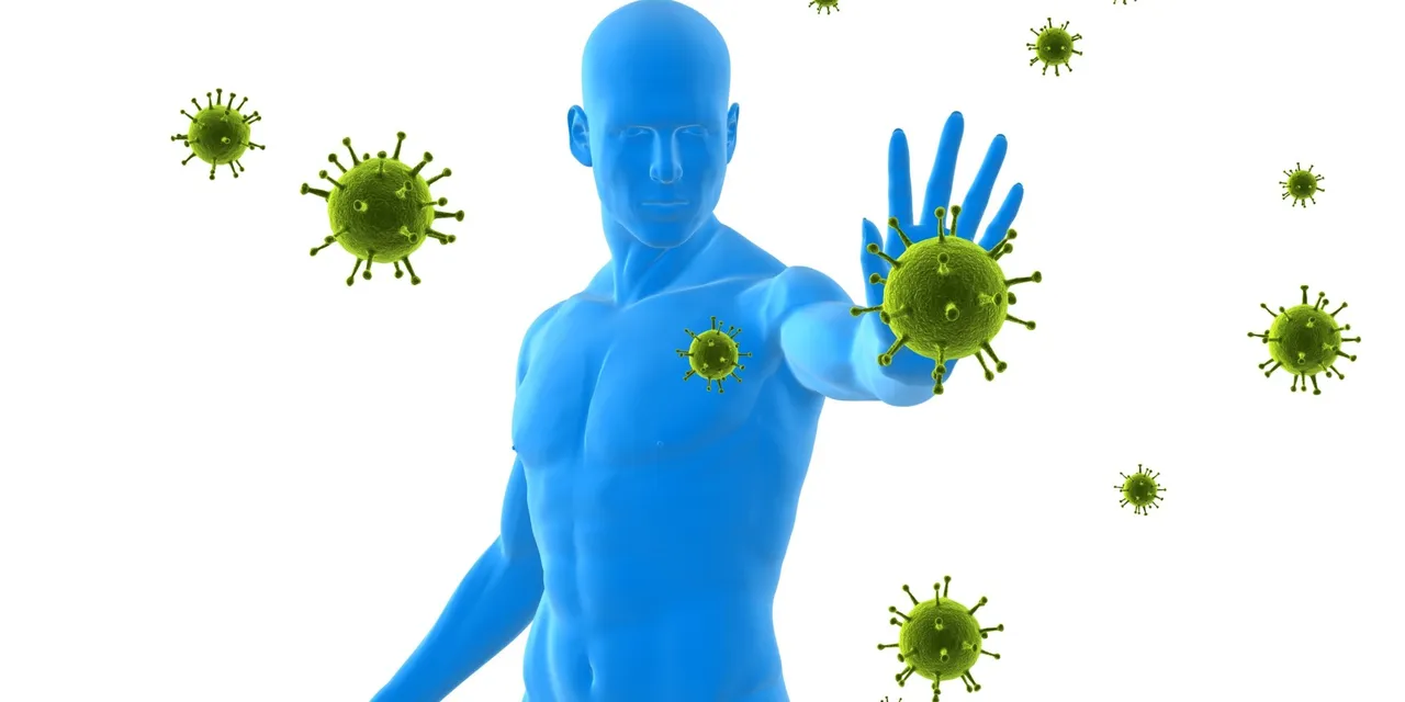  immune defense 