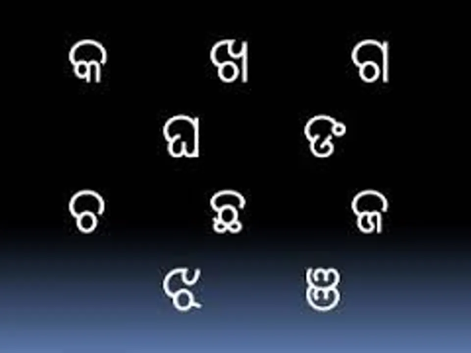  State takes ordinance route to execute Odisha Official Language Act