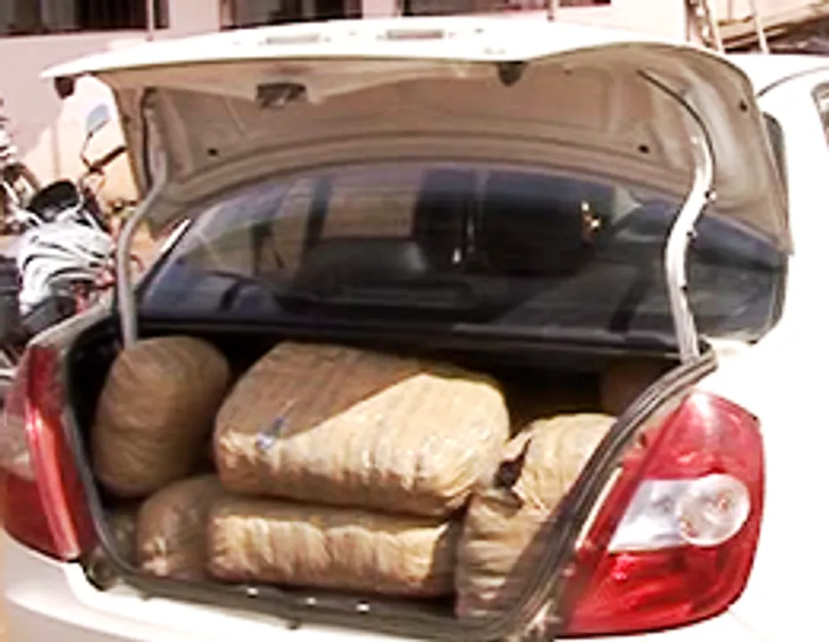  Ganja seized from car in Odisha's Khordha