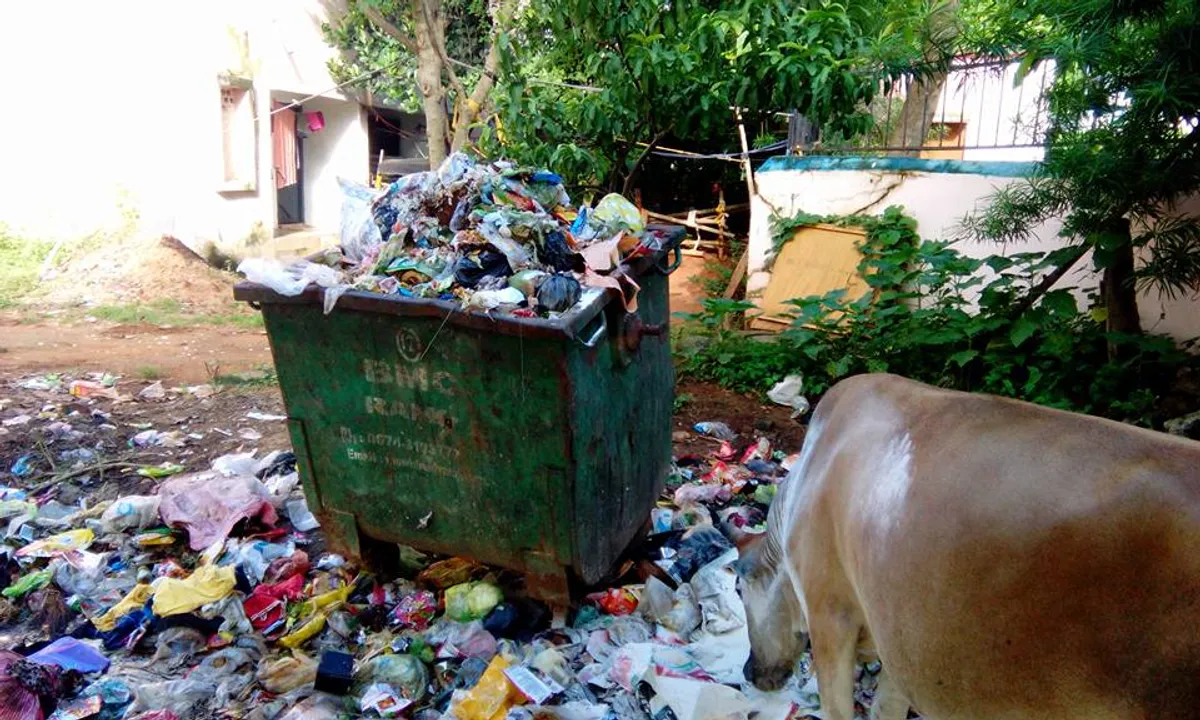 Aren't citizens responsible for keeping their own city clean?