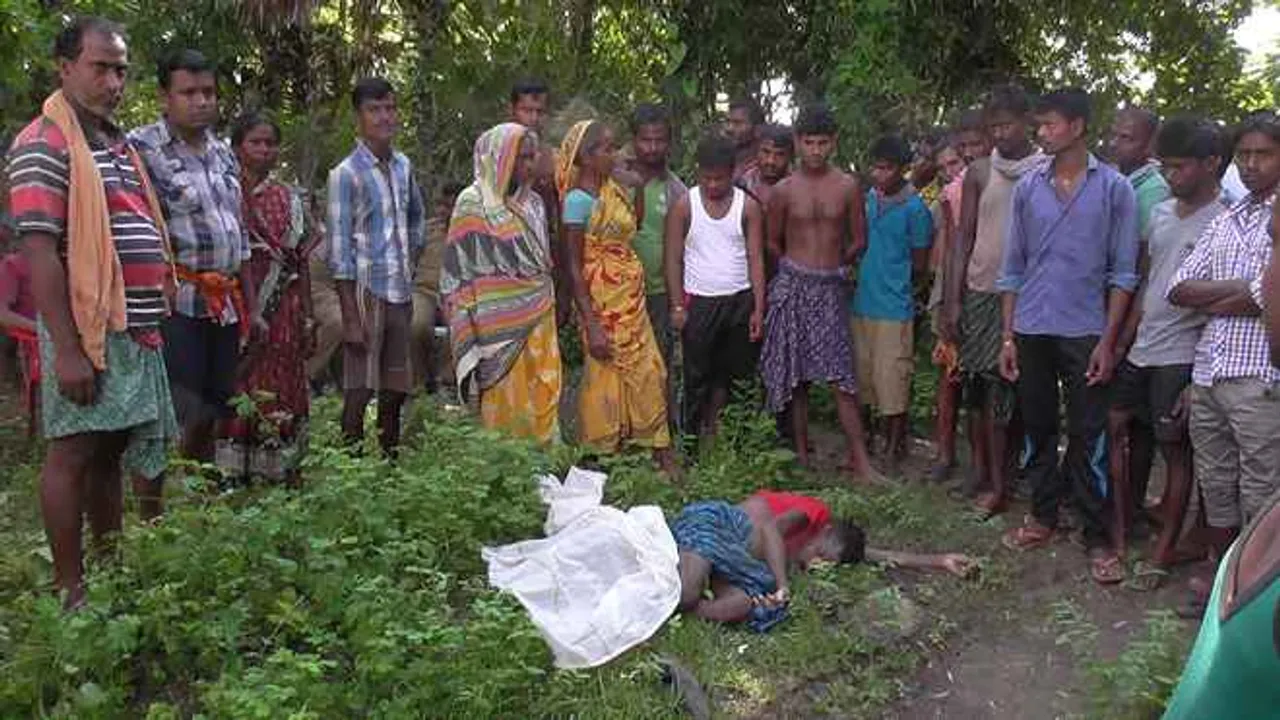  Youth killed in elephant attack in Odisha