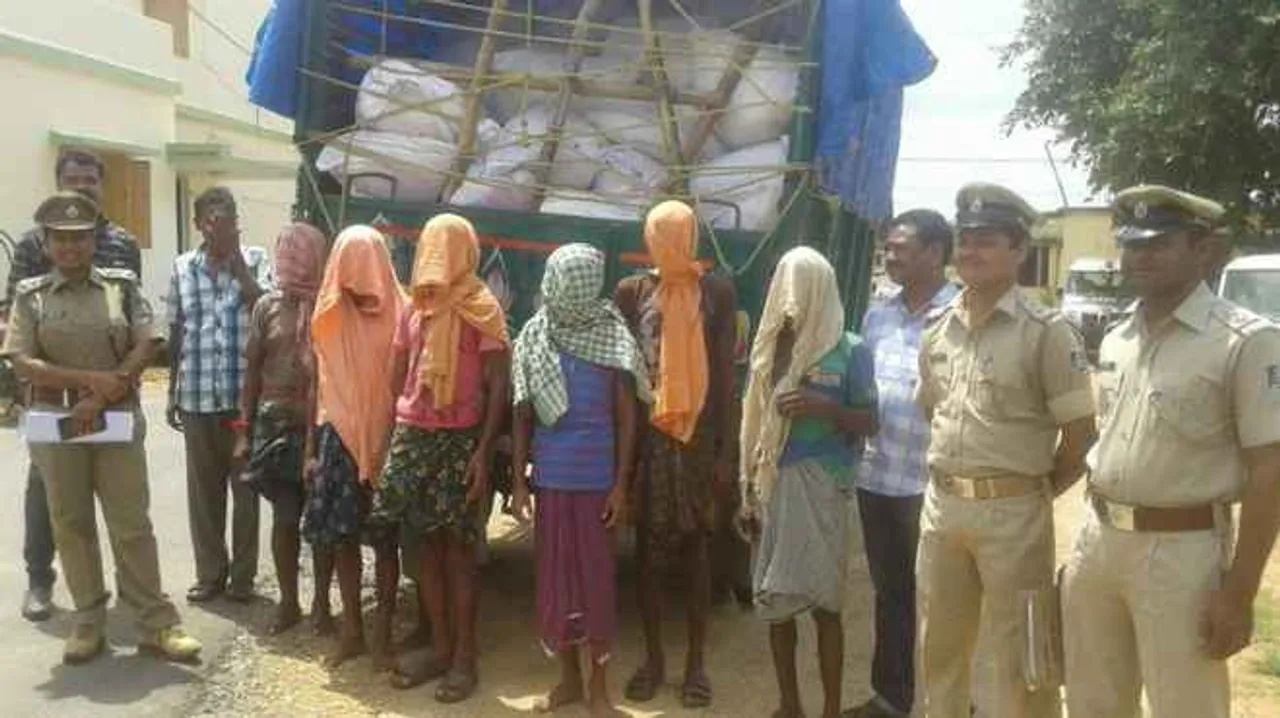  Huge cache of ganja seized, seven arrested in Odisha's Malkangiri